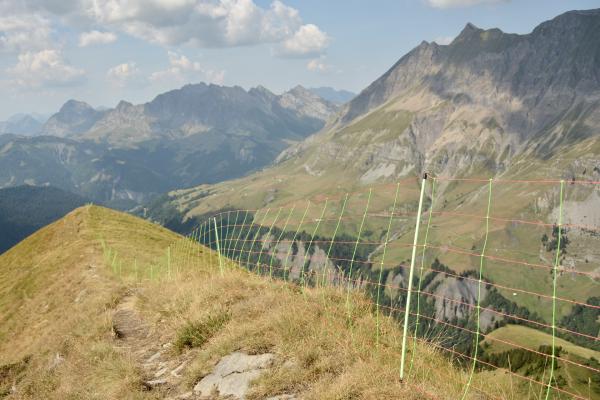 Séparation de la zone de pâturage et du sentier de grande randonnée (GR)