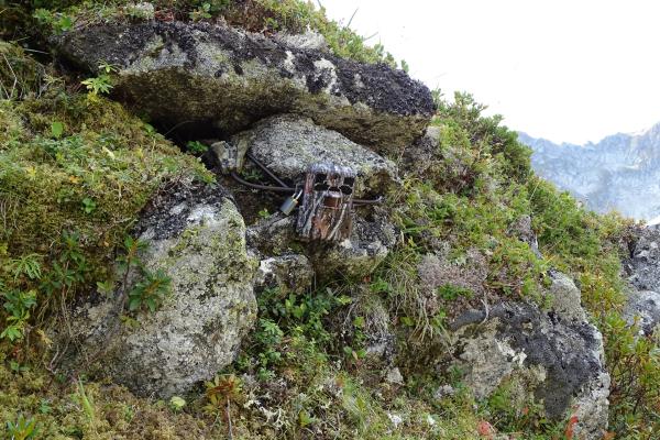 Piège photo fixé à l'aide d'un piton