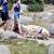 Chien de compagnie tenu en laisse en alpage