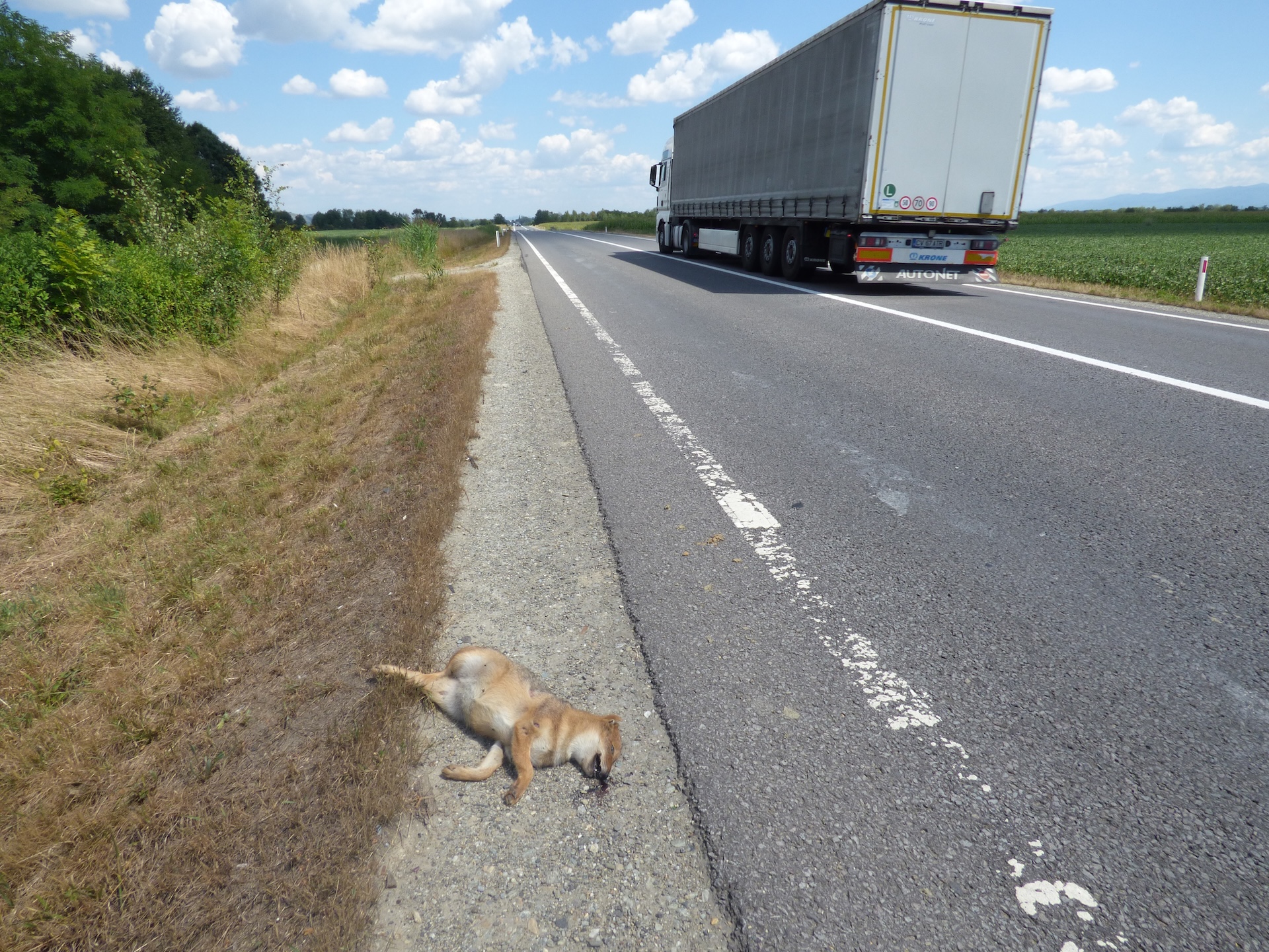 Collision routière dans le Judet de Sibiu en Roumanie