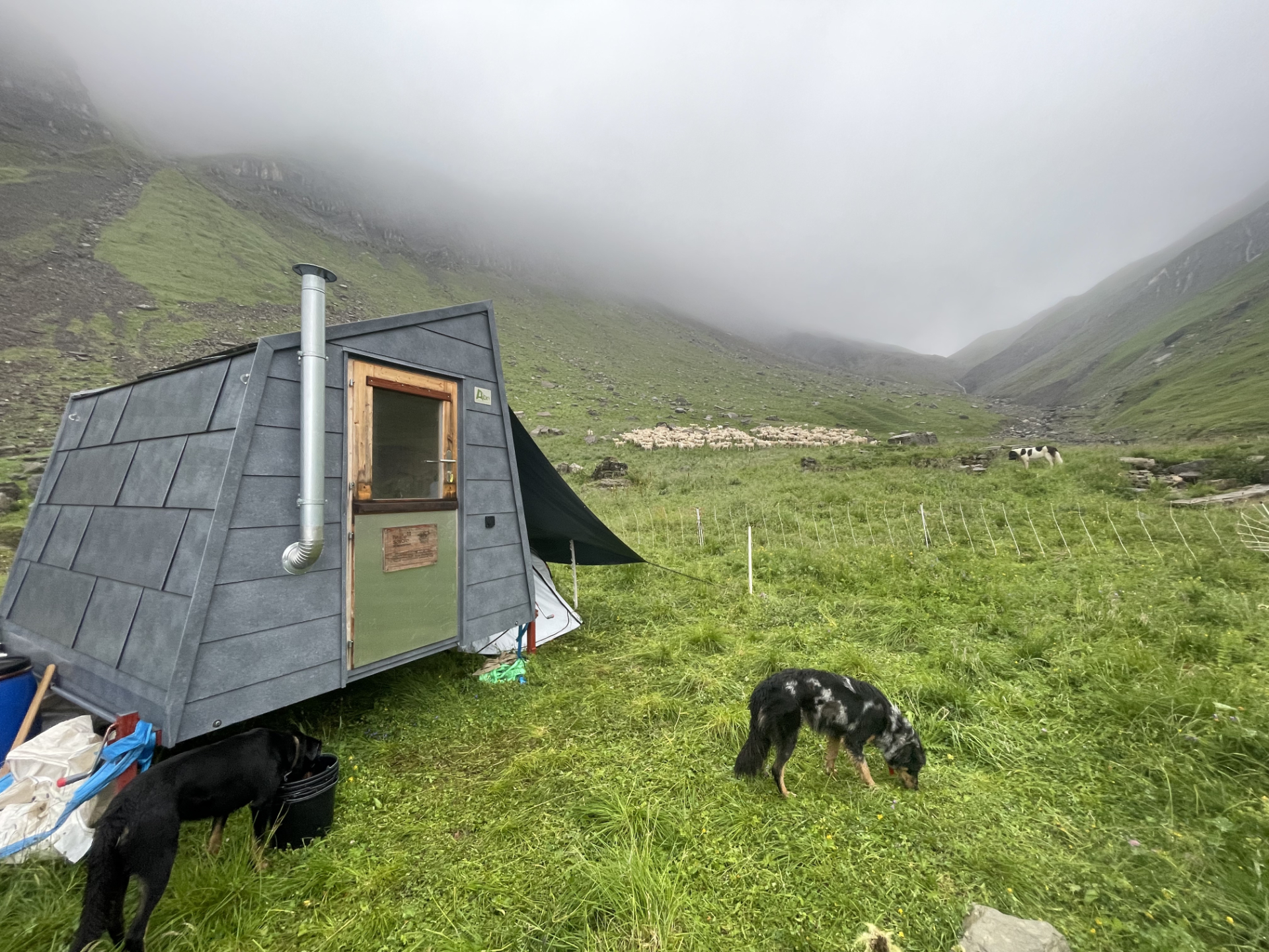 Cabane d'urgence en alpage