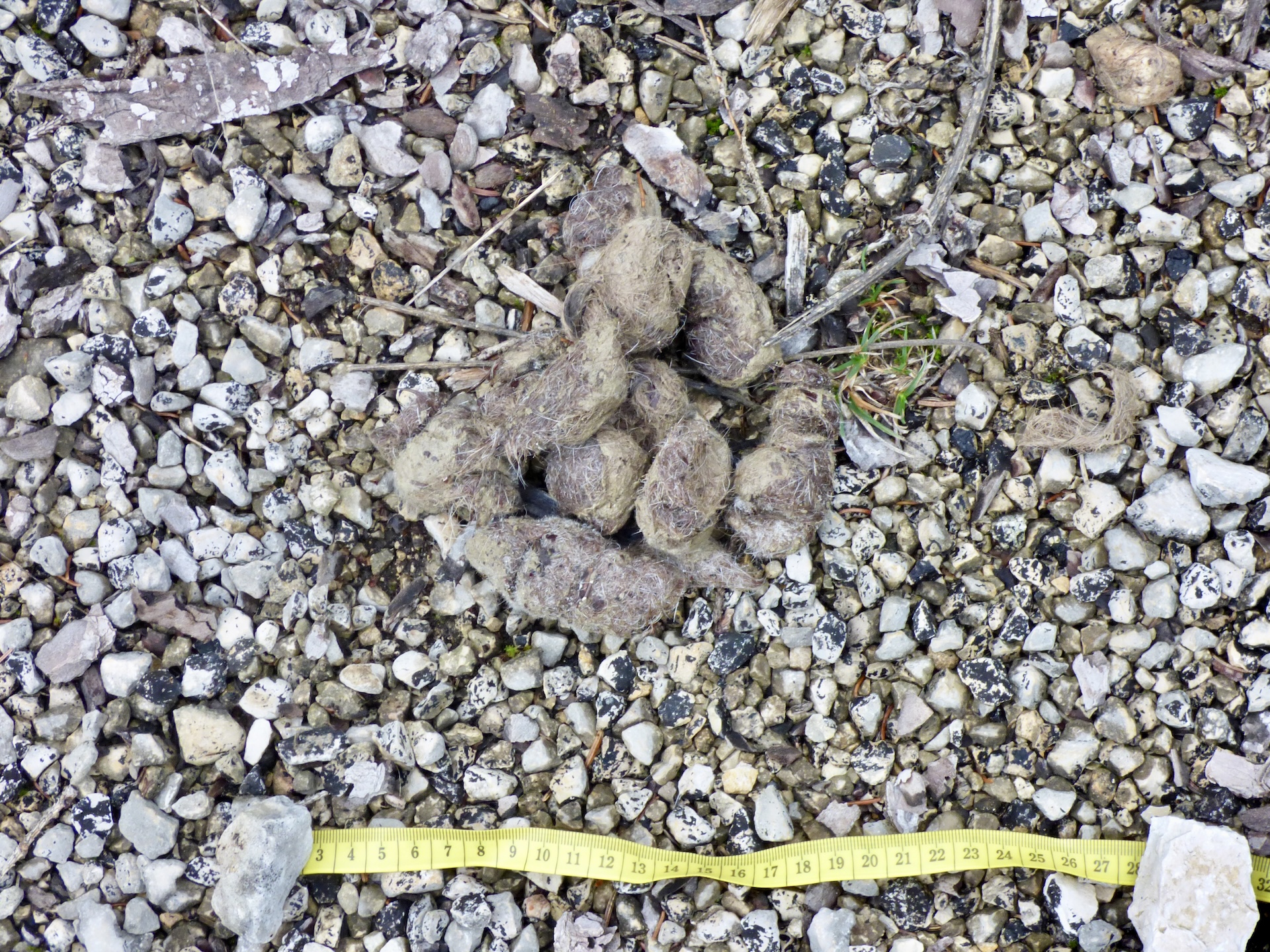 Gros volume et aspect classique