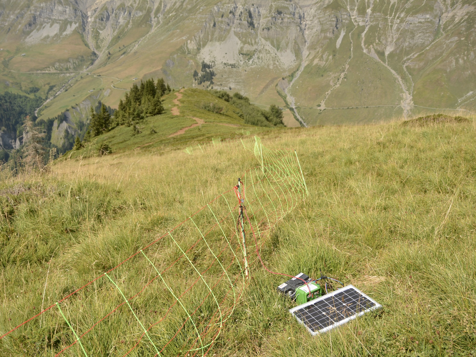 Poste de clôture 12 V / 80 Ah équipé d'un panneau solaire de 20 W