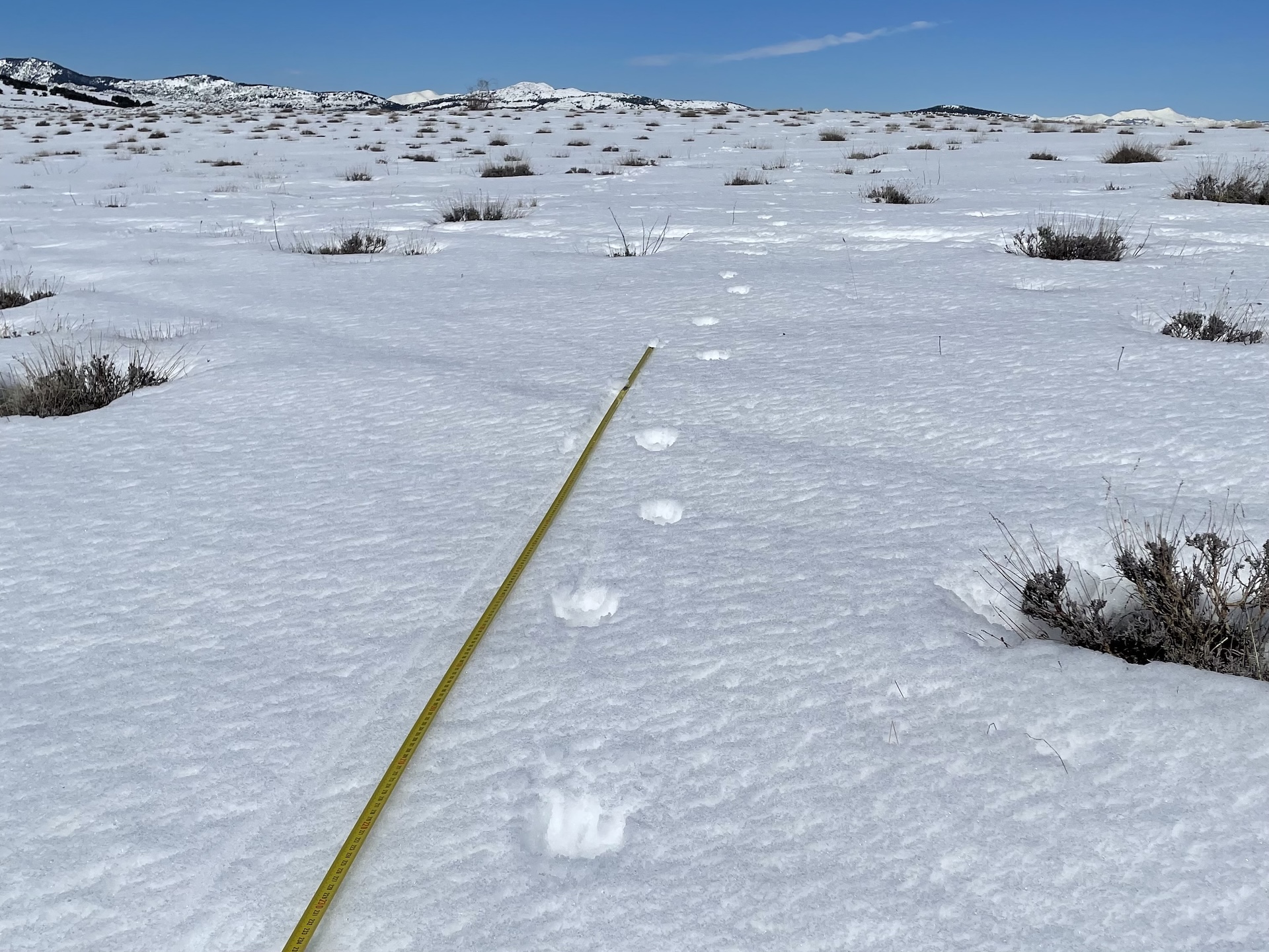 Alignement et régularité du pas