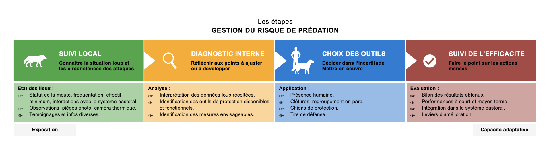 Schéma des étapes de la gestion du risque de prédation